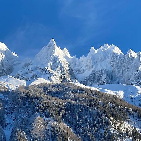 Chamonix Superbe Appartement Vue Mont Blanc المظهر الخارجي الصورة