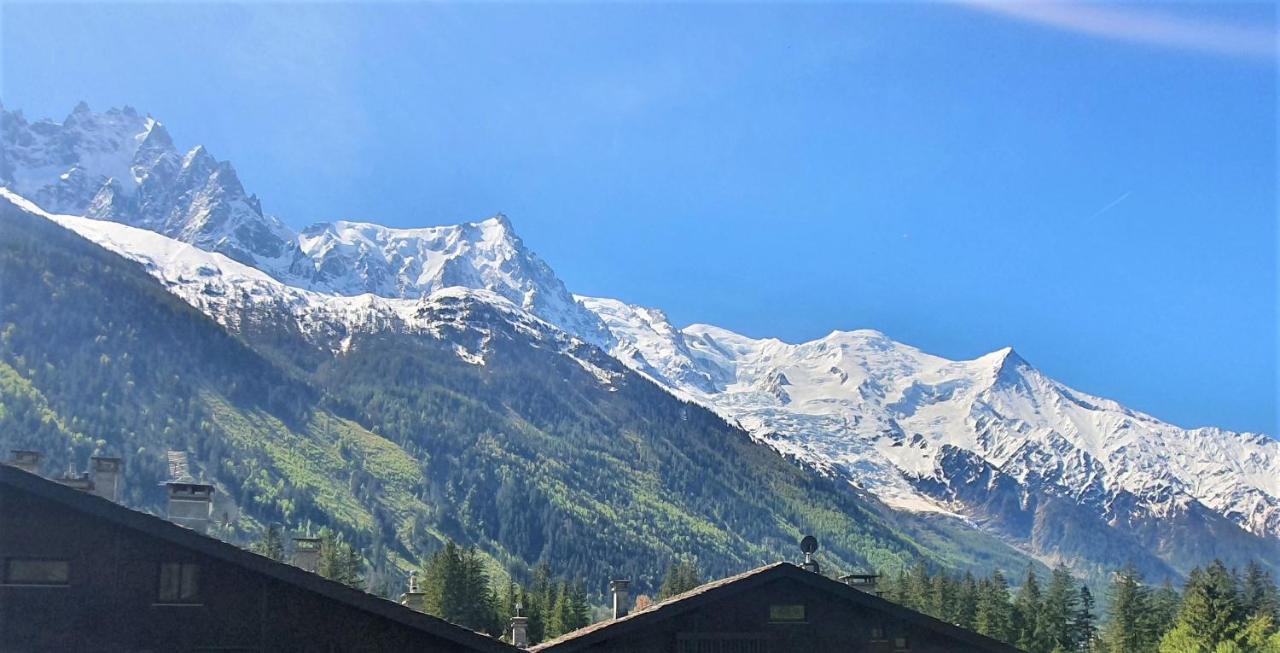 Chamonix Superbe Appartement Vue Mont Blanc المظهر الخارجي الصورة