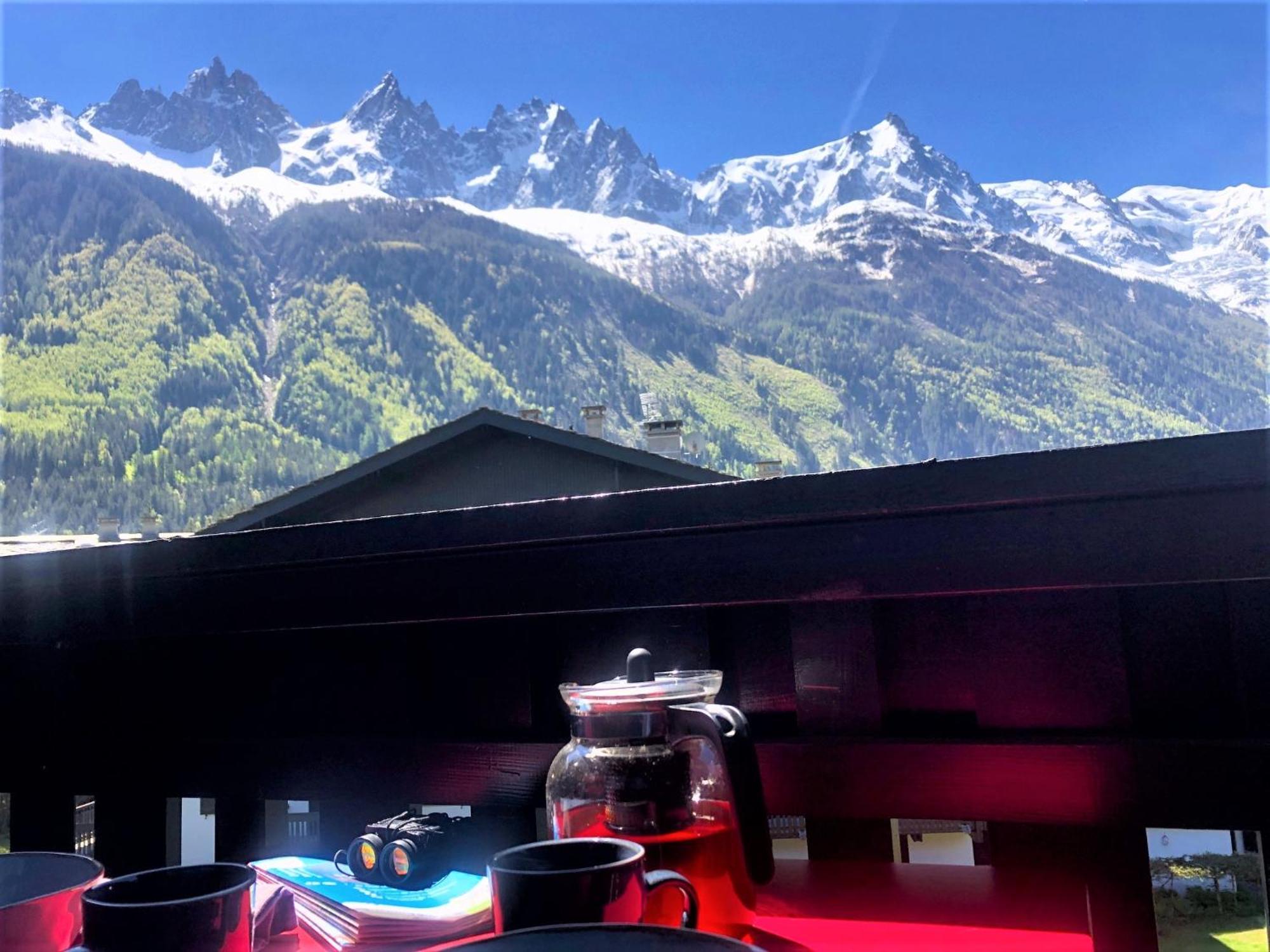 Chamonix Superbe Appartement Vue Mont Blanc المظهر الخارجي الصورة