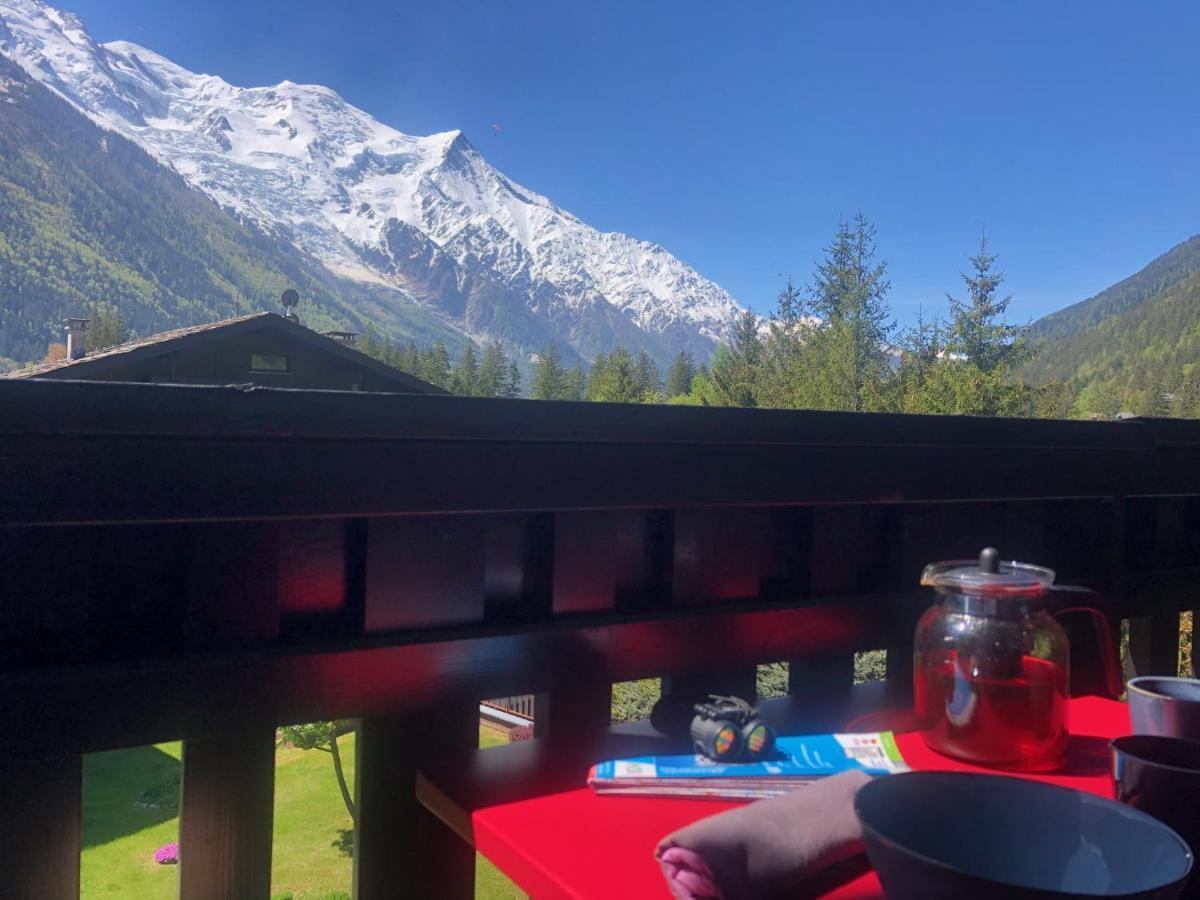 Chamonix Superbe Appartement Vue Mont Blanc المظهر الخارجي الصورة