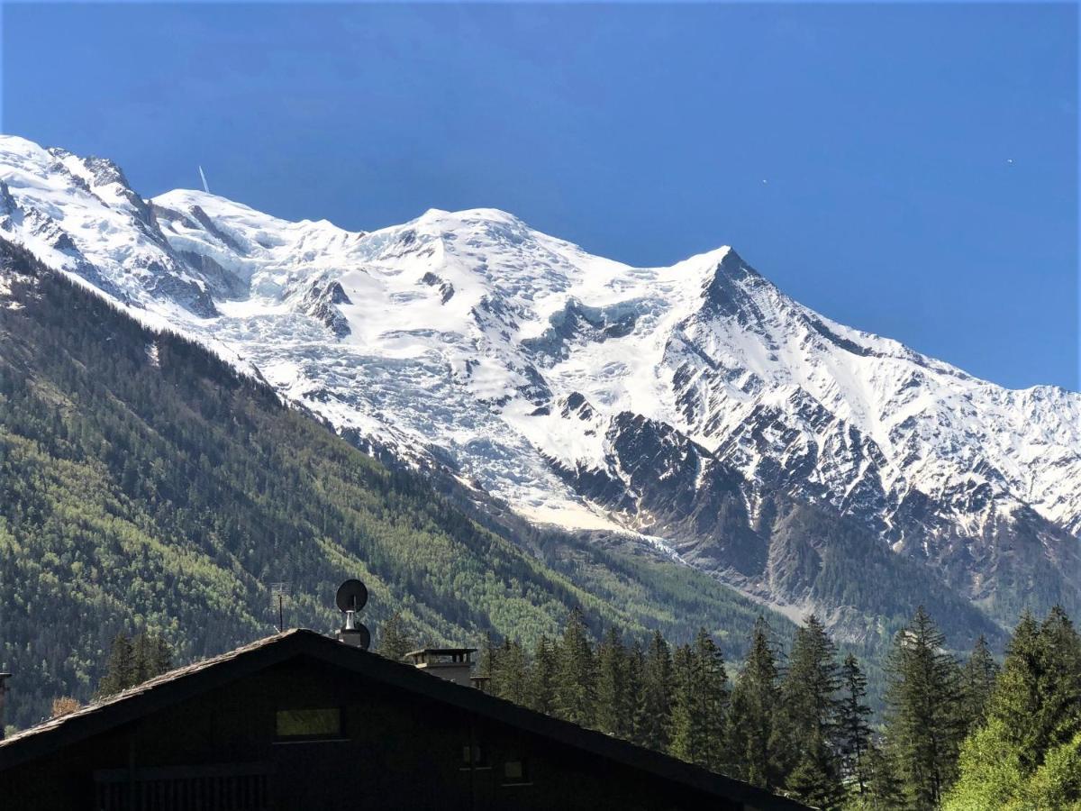 Chamonix Superbe Appartement Vue Mont Blanc المظهر الخارجي الصورة