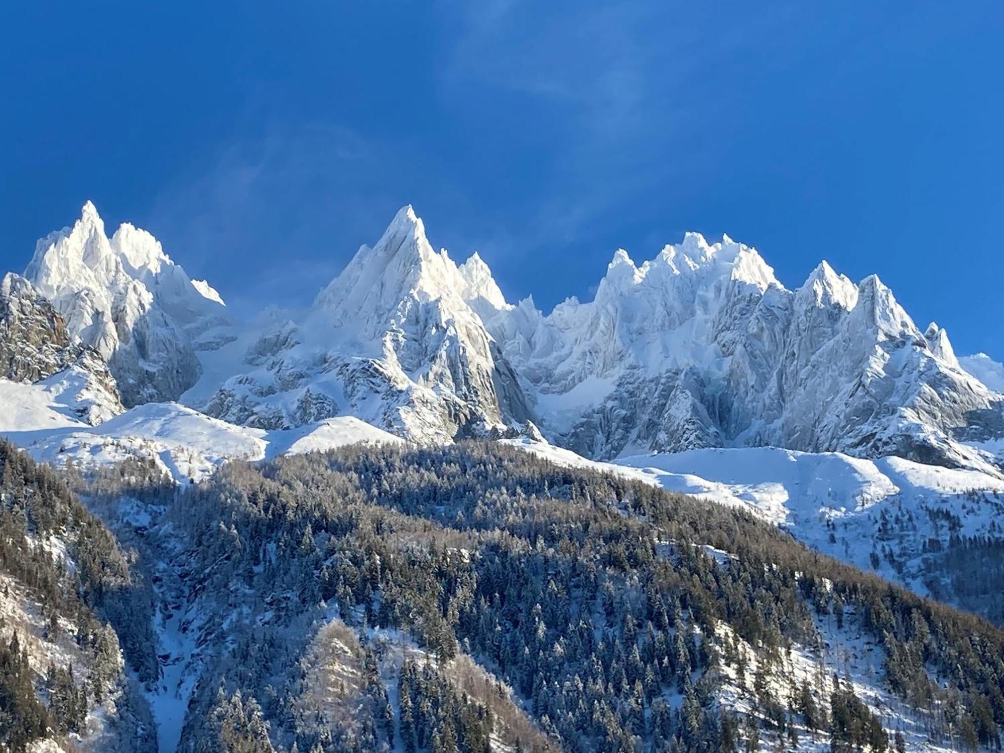 Chamonix Superbe Appartement Vue Mont Blanc المظهر الخارجي الصورة